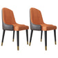 Nordic Glam Style Dining Chairs Metal Dining Arm Side Chair for Kitchen (Set of 2) Orange Clearhalo ' kitchen&dining_furn' 'Dining Chairs' 'Dining Tables & Seating' 'dining_chair' 'furn' 'furn_dining_chair' 'Furniture' 'furniture_dining_chair' 'Kitchen & Dining Furniture' 'kitchen' 3968044