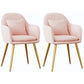 Scandinavian Style Metal Dining Chair Bedroom Upholstered Chair with Arm Pink 2 Piece Set Brass Gold Clearhalo ' kitchen&dining_furn' 'Dining Chairs' 'Dining Tables & Seating' 'dining_chair' 'furn' 'furn_dining_chair' 'Furniture' 'furniture_dining_chair' 'Kitchen & Dining Furniture' 'kitchen' 3968566