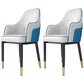 Scandinavian Style Dining Chair Upholstered Dining Room Metal Chair with Arm White-Blue 2 Piece Set Clearhalo ' kitchen&dining_furn' 'Dining Chairs' 'Dining Tables & Seating' 'dining_chair' 'furn' 'furn_dining_chair' 'Furniture' 'furniture_dining_chair' 'Kitchen & Dining Furniture' 'kitchen' 3968583