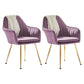 Scandinavian Style Dining Chair Metal Home Cushioned Solid Back Chair with Arm Purple 2 Piece Set Clearhalo ' kitchen&dining_furn' 'Dining Chairs' 'Dining Tables & Seating' 'dining_chair' 'furn' 'furn_dining_chair' 'Furniture' 'furniture_dining_chair' 'Kitchen & Dining Furniture' 'kitchen' 3969223