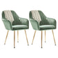 Scandinavian Style Dining Chair Metal Home Cushioned Solid Back Chair with Arm Blackish Green 2 Piece Set Clearhalo ' kitchen&dining_furn' 'Dining Chairs' 'Dining Tables & Seating' 'dining_chair' 'furn' 'furn_dining_chair' 'Furniture' 'furniture_dining_chair' 'Kitchen & Dining Furniture' 'kitchen' 3969232