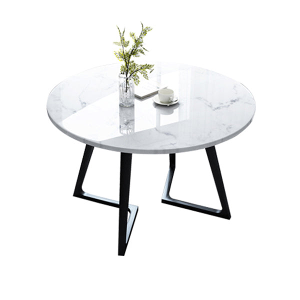 Sintered Stone White Tone Dining Table Industrial Style Double Pedestal Table for Dining Room Round Without Chairs Clearhalo ' dining_table' 'Dining Tables & Seating' 'Dining Tables' 'furn' 'furn_dining_table' 'Furniture' 'furniture_dining_table' 'Kitchen & Dining Furniture' 'kitchen&dining_furn' 'kitchen' 'kitchen_dining_table' 3969407