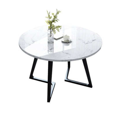 Sintered Stone White Tone Dining Table Industrial Style Double Pedestal Table for Dining Room Round Without Chairs Clearhalo ' dining_table' 'Dining Tables & Seating' 'Dining Tables' 'furn' 'furn_dining_table' 'Furniture' 'furniture_dining_table' 'Kitchen & Dining Furniture' 'kitchen&dining_furn' 'kitchen' 'kitchen_dining_table' 3969407