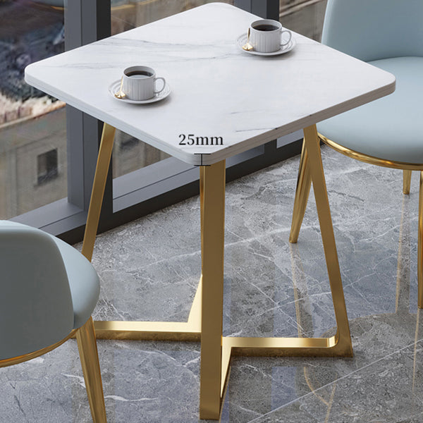 Square Wooden White Dining Table Industrial Double Pedestal Table for Dining Room Clearhalo ' dining_table' 'Dining Tables & Seating' 'Dining Tables' 'furn' 'furn_dining_table' 'Furniture' 'furniture_dining_table' 'Kitchen & Dining Furniture' 'kitchen&dining_furn' 'kitchen' 'kitchen_dining_table' 3969471