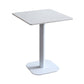 Industrial Style Dining Table Pedestal Dining Room Collection ,23.6"L x 23.6''W x 29.5"H Square Concrete Without Chairs Clearhalo ' dining_table' 'Dining Tables & Seating' 'Dining Tables' 'furn' 'furn_dining_table' 'Furniture' 'furniture_dining_table' 'Kitchen & Dining Furniture' 'kitchen&dining_furn' 'kitchen' 'kitchen_dining_table' 3969500