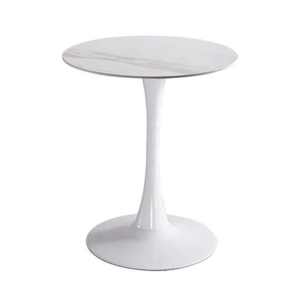Modern Style Round Dining Table Sintered Stone Dinner Table with Tulip Base Beige White 23.6"L x 23.6"W x 29.5"H Clearhalo ' dining_table' 'Dining Tables & Seating' 'Dining Tables' 'furn' 'furn_dining_table' 'Furniture' 'furniture_dining_table' 'Kitchen & Dining Furniture' 'kitchen&dining_furn' 'kitchen' 'kitchen_dining_table' 3969609