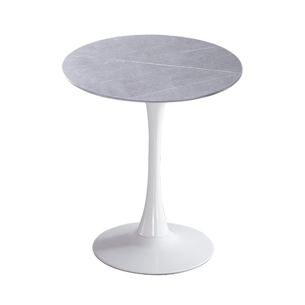 Modern Style Round Dining Table Sintered Stone Dinner Table with Tulip Base Light Gray White 27.6"L x 27.6"W x 29.5"H Clearhalo ' dining_table' 'Dining Tables & Seating' 'Dining Tables' 'furn' 'furn_dining_table' 'Furniture' 'furniture_dining_table' 'Kitchen & Dining Furniture' 'kitchen&dining_furn' 'kitchen' 'kitchen_dining_table' 3969618