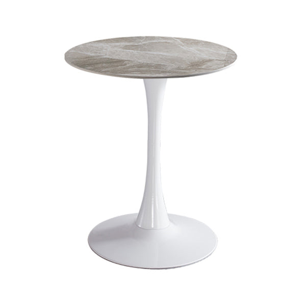 Modern Style Round Dining Table Sintered Stone Dinner Table with Tulip Base Gray White 23.6"L x 23.6"W x 29.5"H Clearhalo ' dining_table' 'Dining Tables & Seating' 'Dining Tables' 'furn' 'furn_dining_table' 'Furniture' 'furniture_dining_table' 'Kitchen & Dining Furniture' 'kitchen&dining_furn' 'kitchen' 'kitchen_dining_table' 3969622