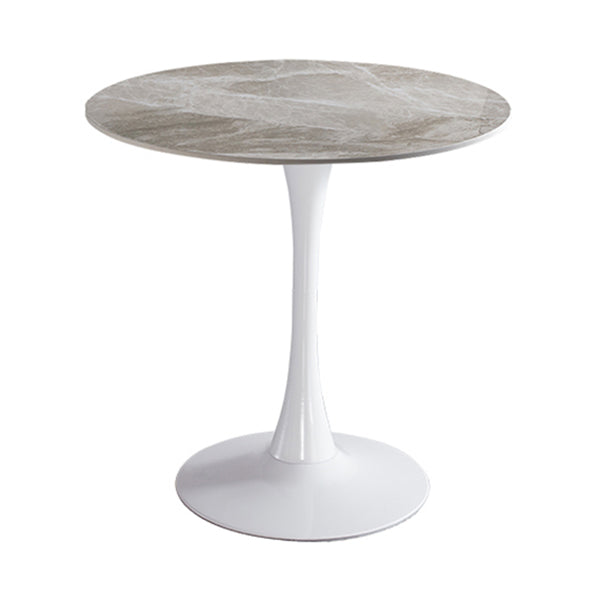 Modern Style Round Dining Table Sintered Stone Dinner Table with Tulip Base Gray White 31.5"L x 31.5"W x 29.5"H Clearhalo ' dining_table' 'Dining Tables & Seating' 'Dining Tables' 'furn' 'furn_dining_table' 'Furniture' 'furniture_dining_table' 'Kitchen & Dining Furniture' 'kitchen&dining_furn' 'kitchen' 'kitchen_dining_table' 3969626