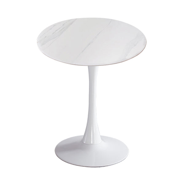 Modern Style Round Dining Table Sintered Stone Dinner Table with Tulip Base White White 27.6"L x 27.6"W x 29.5"H Clearhalo ' dining_table' 'Dining Tables & Seating' 'Dining Tables' 'furn' 'furn_dining_table' 'Furniture' 'furniture_dining_table' 'Kitchen & Dining Furniture' 'kitchen&dining_furn' 'kitchen' 'kitchen_dining_table' 3969629
