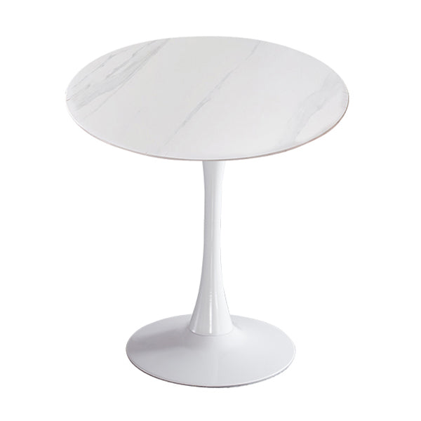 Modern Style Round Dining Table Sintered Stone Dinner Table with Tulip Base White White 31.5"L x 31.5"W x 29.5"H Clearhalo ' dining_table' 'Dining Tables & Seating' 'Dining Tables' 'furn' 'furn_dining_table' 'Furniture' 'furniture_dining_table' 'Kitchen & Dining Furniture' 'kitchen&dining_furn' 'kitchen' 'kitchen_dining_table' 3969631