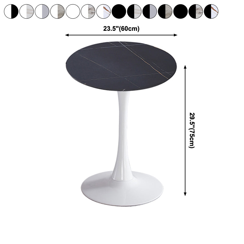 Modern Style Round Dining Table Sintered Stone Dinner Table with Tulip Base Clearhalo ' dining_table' 'Dining Tables & Seating' 'Dining Tables' 'furn' 'furn_dining_table' 'Furniture' 'furniture_dining_table' 'Kitchen & Dining Furniture' 'kitchen&dining_furn' 'kitchen' 'kitchen_dining_table' 3969659