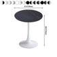 Modern Style Round Dining Table Sintered Stone Dinner Table with Tulip Base Clearhalo ' dining_table' 'Dining Tables & Seating' 'Dining Tables' 'furn' 'furn_dining_table' 'Furniture' 'furniture_dining_table' 'Kitchen & Dining Furniture' 'kitchen&dining_furn' 'kitchen' 'kitchen_dining_table' 3969660