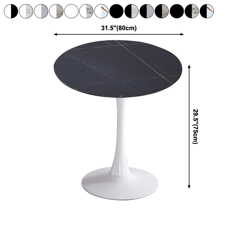 Modern Style Round Dining Table Sintered Stone Dinner Table with Tulip Base Clearhalo ' dining_table' 'Dining Tables & Seating' 'Dining Tables' 'furn' 'furn_dining_table' 'Furniture' 'furniture_dining_table' 'Kitchen & Dining Furniture' 'kitchen&dining_furn' 'kitchen' 'kitchen_dining_table' 3969661