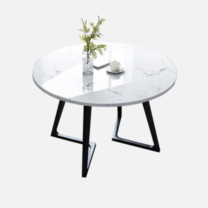 Modern Style White Dinner Table Sintered Stone Table with Wooden Base for Home Round Without Chairs Clearhalo ' dining_table' 'Dining Tables & Seating' 'Dining Tables' 'furn' 'furn_dining_table' 'Furniture' 'furniture_dining_table' 'Kitchen & Dining Furniture' 'kitchen&dining_furn' 'kitchen' 'kitchen_dining_table' 3969739