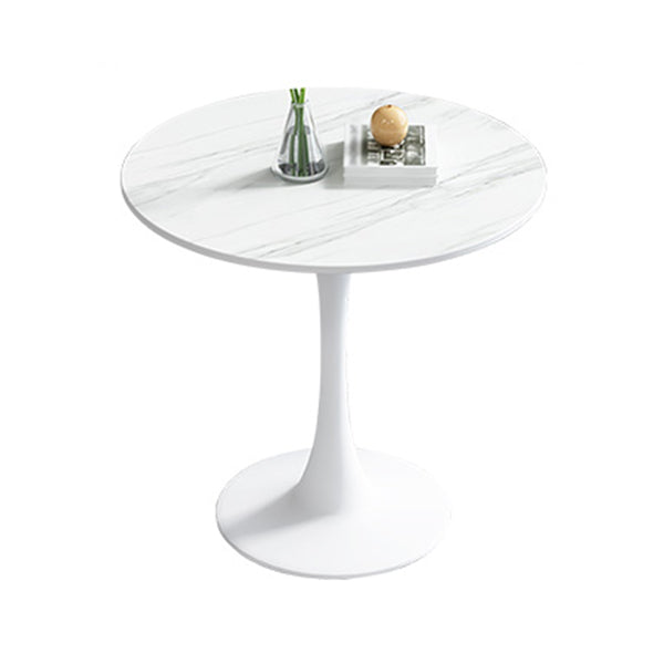 Modern Style Round Dining Table Sintered Stone Table with Tulip Base for Home White Without Chairs Clearhalo ' dining_table' 'Dining Tables & Seating' 'Dining Tables' 'furn' 'furn_dining_table' 'Furniture' 'furniture_dining_table' 'Kitchen & Dining Furniture' 'kitchen&dining_furn' 'kitchen' 'kitchen_dining_table' 3969793