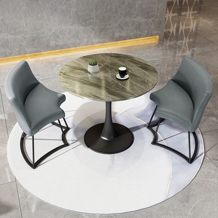 Modern Style Round Dining Table Sintered Stone Table with Tulip Base for Home Grey Without Chairs Clearhalo ' dining_table' 'Dining Tables & Seating' 'Dining Tables' 'furn' 'furn_dining_table' 'Furniture' 'furniture_dining_table' 'Kitchen & Dining Furniture' 'kitchen&dining_furn' 'kitchen' 'kitchen_dining_table' 3969794