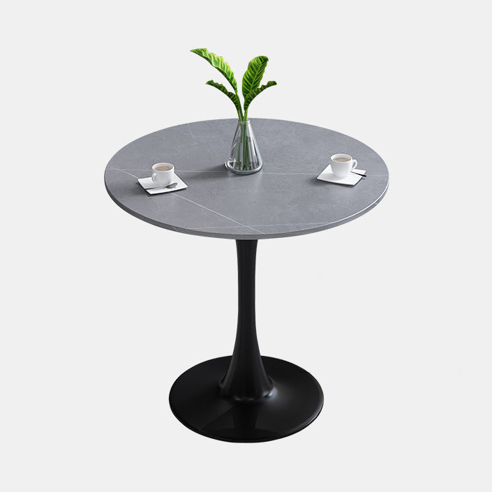 Modern Style Round Dining Table Sintered Stone Table with Tulip Base for Home Light Gray Without Chairs Clearhalo ' dining_table' 'Dining Tables & Seating' 'Dining Tables' 'furn' 'furn_dining_table' 'Furniture' 'furniture_dining_table' 'Kitchen & Dining Furniture' 'kitchen&dining_furn' 'kitchen' 'kitchen_dining_table' 3969798