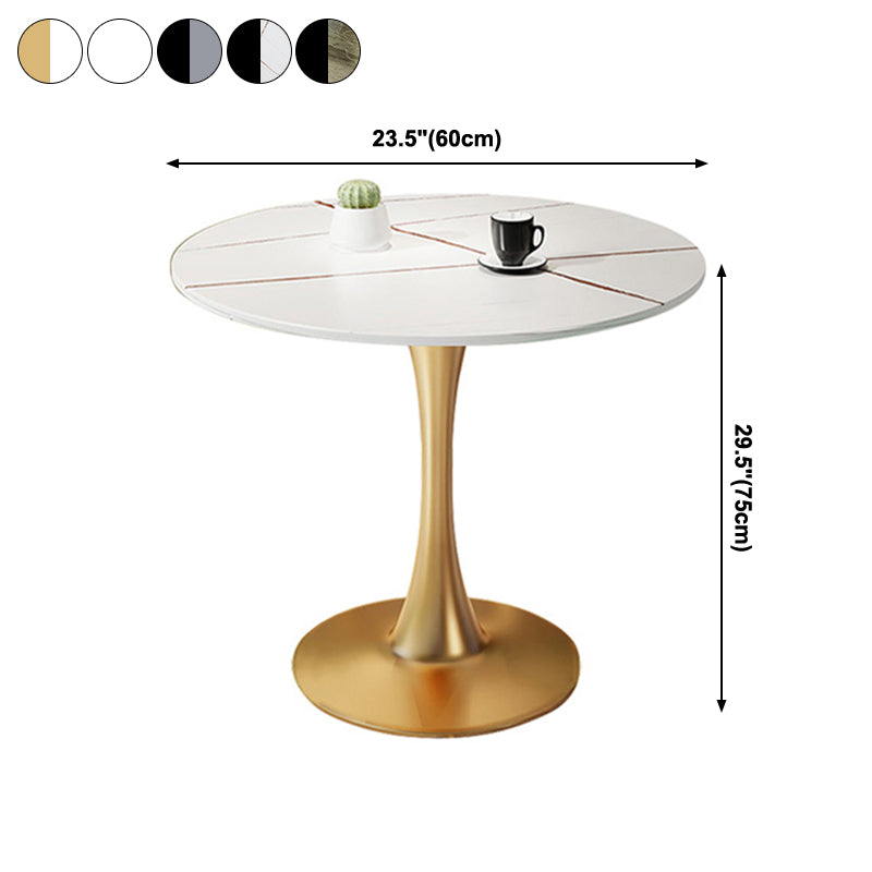 Modern Style Round Dining Table Sintered Stone Table with Tulip Base for Home Clearhalo ' dining_table' 'Dining Tables & Seating' 'Dining Tables' 'furn' 'furn_dining_table' 'Furniture' 'furniture_dining_table' 'Kitchen & Dining Furniture' 'kitchen&dining_furn' 'kitchen' 'kitchen_dining_table' 3969808
