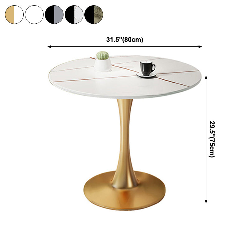 Modern Style Round Dining Table Sintered Stone Table with Tulip Base for Home Clearhalo ' dining_table' 'Dining Tables & Seating' 'Dining Tables' 'furn' 'furn_dining_table' 'Furniture' 'furniture_dining_table' 'Kitchen & Dining Furniture' 'kitchen&dining_furn' 'kitchen' 'kitchen_dining_table' 3969810