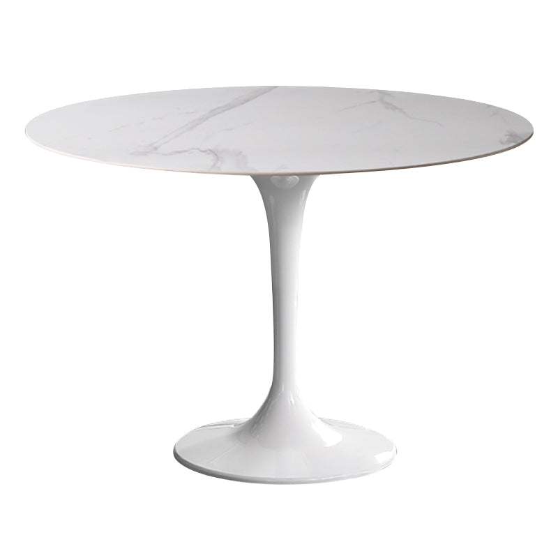 Simplicity Round Dining Table Sintered Stone Table with Tulip Base for Dining Room White Without Chairs Clearhalo ' dining_table' 'Dining Tables & Seating' 'Dining Tables' 'furn' 'furn_dining_table' 'Furniture' 'furniture_dining_table' 'Kitchen & Dining Furniture' 'kitchen&dining_furn' 'kitchen' 'kitchen_dining_table' 3970035