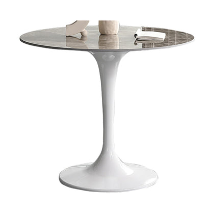 Simplicity Round Dining Table Sintered Stone Table with Tulip Base for Dining Room Gray Without Chairs Clearhalo ' dining_table' 'Dining Tables & Seating' 'Dining Tables' 'furn' 'furn_dining_table' 'Furniture' 'furniture_dining_table' 'Kitchen & Dining Furniture' 'kitchen&dining_furn' 'kitchen' 'kitchen_dining_table' 3970036