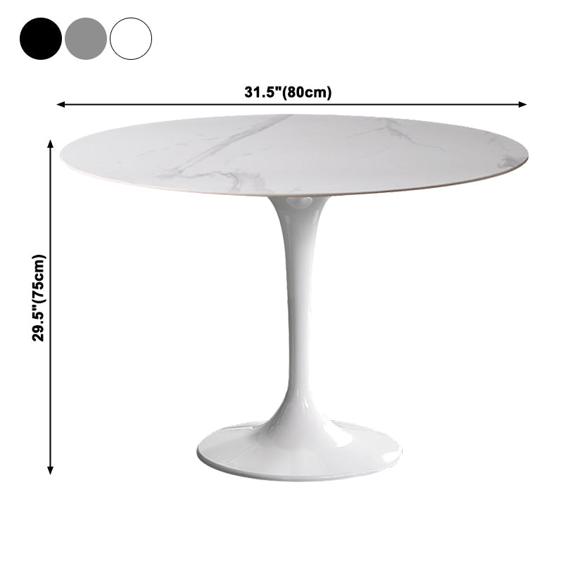Simplicity Round Dining Table Sintered Stone Table with Tulip Base for Dining Room Clearhalo ' dining_table' 'Dining Tables & Seating' 'Dining Tables' 'furn' 'furn_dining_table' 'Furniture' 'furniture_dining_table' 'Kitchen & Dining Furniture' 'kitchen&dining_furn' 'kitchen' 'kitchen_dining_table' 3970040