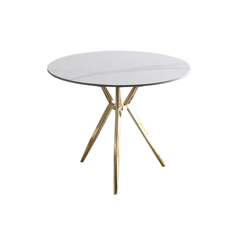 Modern Style Round Dining Table Sintered Stone Table with Metal Base for Home Use White Gold Clearhalo ' dining_table' 'Dining Tables & Seating' 'Dining Tables' 'furn' 'furn_dining_table' 'Furniture' 'furniture_dining_table' 'Kitchen & Dining Furniture' 'kitchen&dining_furn' 'kitchen' 'kitchen_dining_table' 3970157
