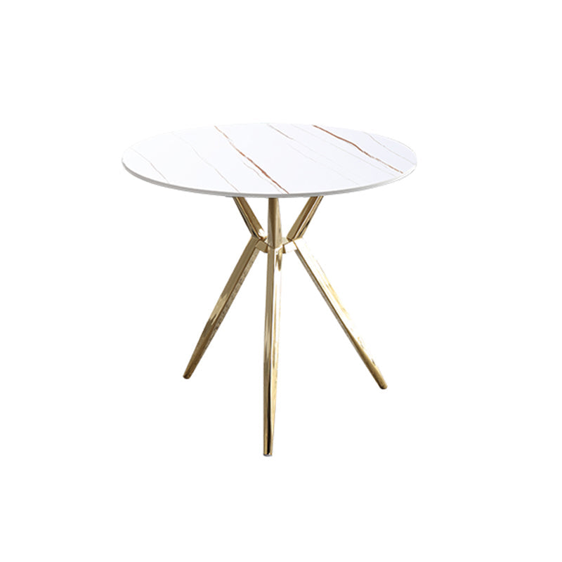 Modern Style Round Dining Table Sintered Stone Table with Metal Base for Home Use White Gold Clearhalo ' dining_table' 'Dining Tables & Seating' 'Dining Tables' 'furn' 'furn_dining_table' 'Furniture' 'furniture_dining_table' 'Kitchen & Dining Furniture' 'kitchen&dining_furn' 'kitchen' 'kitchen_dining_table' 3970160
