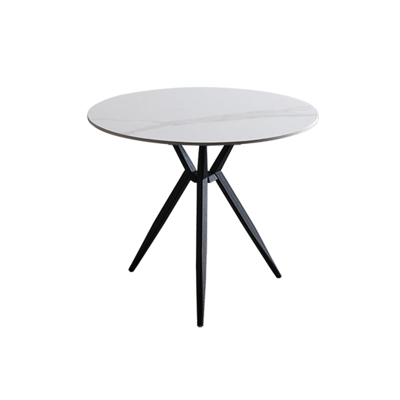 Modern Style Round Dining Table Sintered Stone Table with Metal Base for Home Use White Black Clearhalo ' dining_table' 'Dining Tables & Seating' 'Dining Tables' 'furn' 'furn_dining_table' 'Furniture' 'furniture_dining_table' 'Kitchen & Dining Furniture' 'kitchen&dining_furn' 'kitchen' 'kitchen_dining_table' 3970164