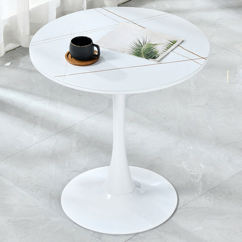 Round Shape Dining Table Simplicity Style Tulip Base Table for Dining Room White Without Chairs Clearhalo ' dining_table' 'Dining Tables & Seating' 'Dining Tables' 'furn' 'furn_dining_table' 'Furniture' 'furniture_dining_table' 'Kitchen & Dining Furniture' 'kitchen&dining_furn' 'kitchen' 'kitchen_dining_table' 3970439