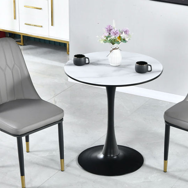 Round Shape Dining Table Simplicity Style Tulip Base Table for Dining Room Clearhalo ' dining_table' 'Dining Tables & Seating' 'Dining Tables' 'furn' 'furn_dining_table' 'Furniture' 'furniture_dining_table' 'Kitchen & Dining Furniture' 'kitchen&dining_furn' 'kitchen' 'kitchen_dining_table' 3970446