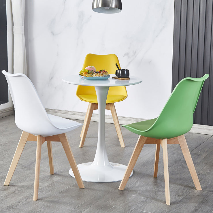 Round Shape Dining Table Simplicity Style Tulip Base Table for Dining Room Clearhalo ' dining_table' 'Dining Tables & Seating' 'Dining Tables' 'furn' 'furn_dining_table' 'Furniture' 'furniture_dining_table' 'Kitchen & Dining Furniture' 'kitchen&dining_furn' 'kitchen' 'kitchen_dining_table' 3970450