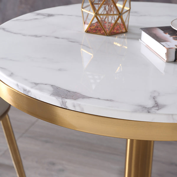 Marble Dining Table Single Pedestal Metallic Base Round Table for Home Clearhalo ' dining_table' 'Dining Tables & Seating' 'Dining Tables' 'furn' 'furn_dining_table' 'Furniture' 'furniture_dining_table' 'Kitchen & Dining Furniture' 'kitchen&dining_furn' 'kitchen' 'kitchen_dining_table' 3979576