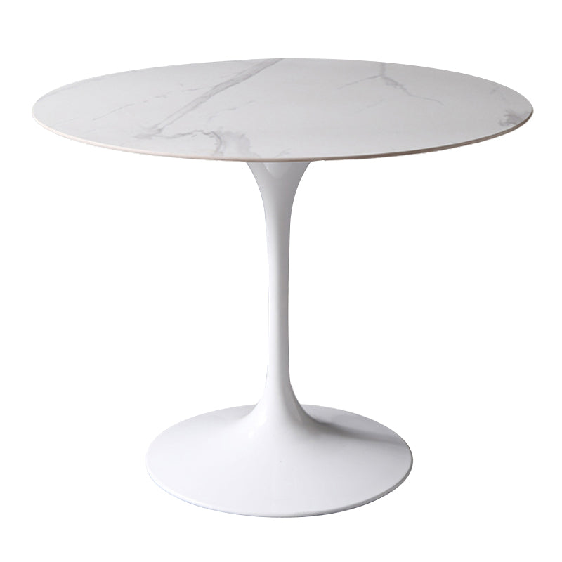 Simplicity Round Dining Table Sintered Stone Table with White Tulip Base for Dining Room Without Chairs Clearhalo ' dining_table' 'Dining Tables & Seating' 'Dining Tables' 'furn' 'furn_dining_table' 'Furniture' 'furniture_dining_table' 'Kitchen & Dining Furniture' 'kitchen&dining_furn' 'kitchen' 'kitchen_dining_table' 3980468