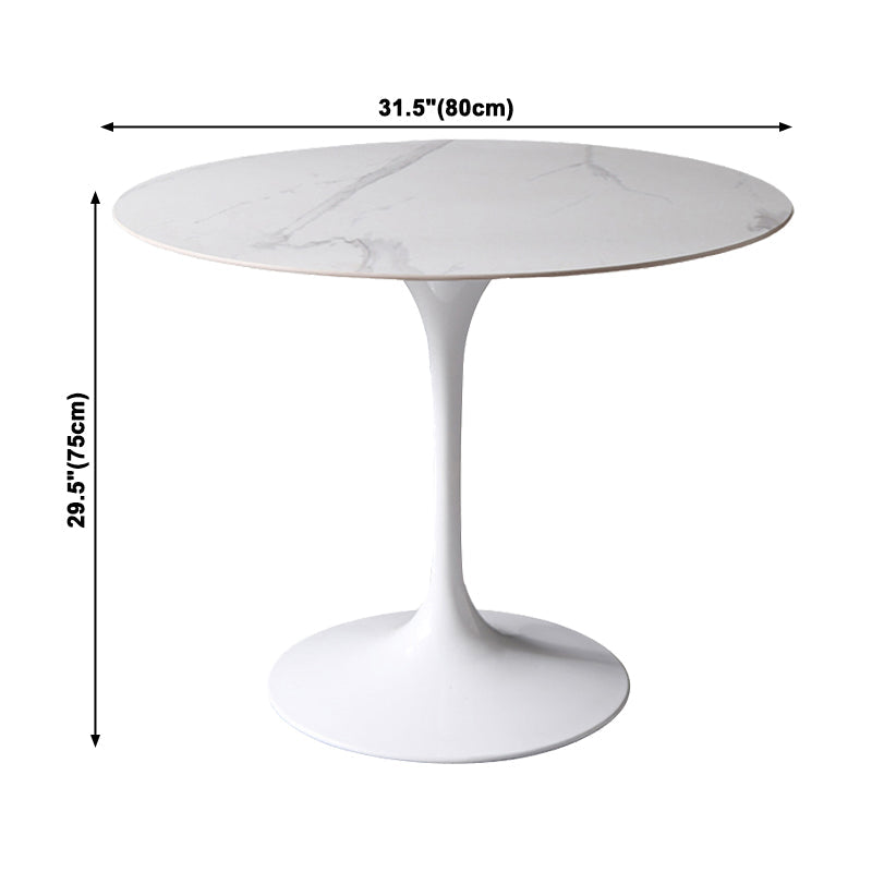 Simplicity Round Dining Table Sintered Stone Table with White Tulip Base for Dining Room Clearhalo ' dining_table' 'Dining Tables & Seating' 'Dining Tables' 'furn' 'furn_dining_table' 'Furniture' 'furniture_dining_table' 'Kitchen & Dining Furniture' 'kitchen&dining_furn' 'kitchen' 'kitchen_dining_table' 3980472