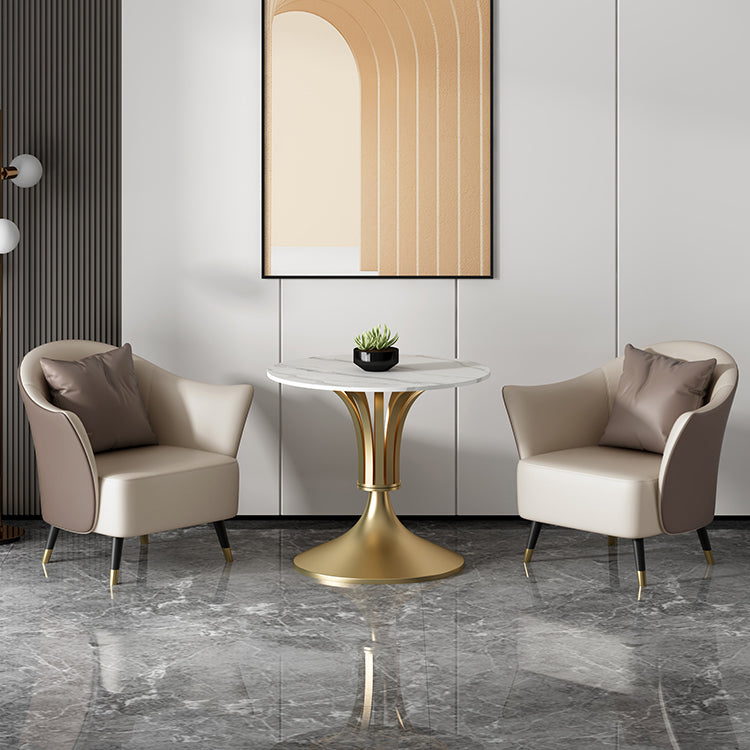 Sintered Stone Dining Table Luxury Style Single Pedestal Base Table for Dining Room Clearhalo ' dining_table' 'Dining Tables & Seating' 'Dining Tables' 'furn' 'furn_dining_table' 'Furniture' 'furniture_dining_table' 'Kitchen & Dining Furniture' 'kitchen&dining_furn' 'kitchen' 'kitchen_dining_table' 3994392