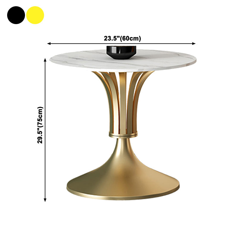 Sintered Stone Dining Table Luxury Style Single Pedestal Base Table for Dining Room Clearhalo ' dining_table' 'Dining Tables & Seating' 'Dining Tables' 'furn' 'furn_dining_table' 'Furniture' 'furniture_dining_table' 'Kitchen & Dining Furniture' 'kitchen&dining_furn' 'kitchen' 'kitchen_dining_table' 3994399