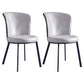 Metal Contemporary Dining Chair Wingback Dining Room Armless Side Chair Grey 2 Piece Set Clearhalo ' kitchen&dining_furn' 'Dining Chairs' 'Dining Tables & Seating' 'dining_chair' 'furn' 'furn_dining_chair' 'Furniture' 'furniture_dining_chair' 'Kitchen & Dining Furniture' 'kitchen' 3997688