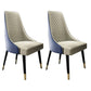 Nordic Glam Style Dining Chairs Wooden Dining Armless Side Chair for Kitchen (Set of 2) Blue Clearhalo ' kitchen&dining_furn' 'Dining Chairs' 'Dining Tables & Seating' 'dining_chair' 'furn' 'furn_dining_chair' 'Furniture' 'furniture_dining_chair' 'Kitchen & Dining Furniture' 'kitchen' 3998859