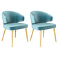 Nordic Metal Dining Room Arm Chairs Velvet Dining Side Chair for Restaurant Blue 2 Piece Set Brass Gold Clearhalo ' kitchen&dining_furn' 'Dining Chairs' 'Dining Tables & Seating' 'dining_chair' 'furn' 'furn_dining_chair' 'Furniture' 'furniture_dining_chair' 'Kitchen & Dining Furniture' 'kitchen' 3998984