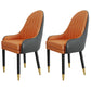 Scandinavian Style Metal Chairs Solid Back Arm Kitchen Dining Chair Set Orange Black 2 Piece Set Clearhalo ' kitchen&dining_furn' 'Dining Chairs' 'Dining Tables & Seating' 'dining_chair' 'furn' 'furn_dining_chair' 'Furniture' 'furniture_dining_chair' 'Kitchen & Dining Furniture' 'kitchen' 3999233
