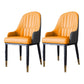 Scandinavian Style Metal Dining Chair Dining Room Solid Back Chair with Arm Gray-Orange 2 Piece Set Clearhalo ' kitchen&dining_furn' 'Dining Chairs' 'Dining Tables & Seating' 'dining_chair' 'furn' 'furn_dining_chair' 'Furniture' 'furniture_dining_chair' 'Kitchen & Dining Furniture' 'kitchen' 4008615