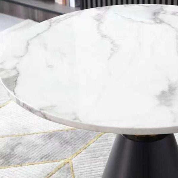 Metal Contemporary Dining Table Marble Table with Pedestal Base Clearhalo ' dining_table' 'Dining Tables & Seating' 'Dining Tables' 'furn' 'furn_dining_table' 'Furniture' 'furniture_dining_table' 'Kitchen & Dining Furniture' 'kitchen&dining_furn' 'kitchen' 'kitchen_dining_table' 4020545