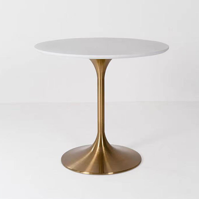 Metal Contemporary Round Dining Table Solid Wood Top Table for Dining Room White Without Chairs Clearhalo ' dining_table' 'Dining Tables & Seating' 'Dining Tables' 'furn' 'furn_dining_table' 'Furniture' 'furniture_dining_table' 'Kitchen & Dining Furniture' 'kitchen&dining_furn' 'kitchen' 'kitchen_dining_table' 4020553