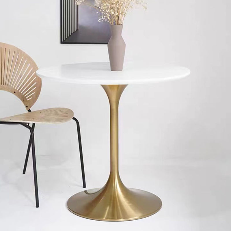 Metal Contemporary Round Dining Table Solid Wood Top Table for Dining Room Clearhalo ' dining_table' 'Dining Tables & Seating' 'Dining Tables' 'furn' 'furn_dining_table' 'Furniture' 'furniture_dining_table' 'Kitchen & Dining Furniture' 'kitchen&dining_furn' 'kitchen' 'kitchen_dining_table' 4020554