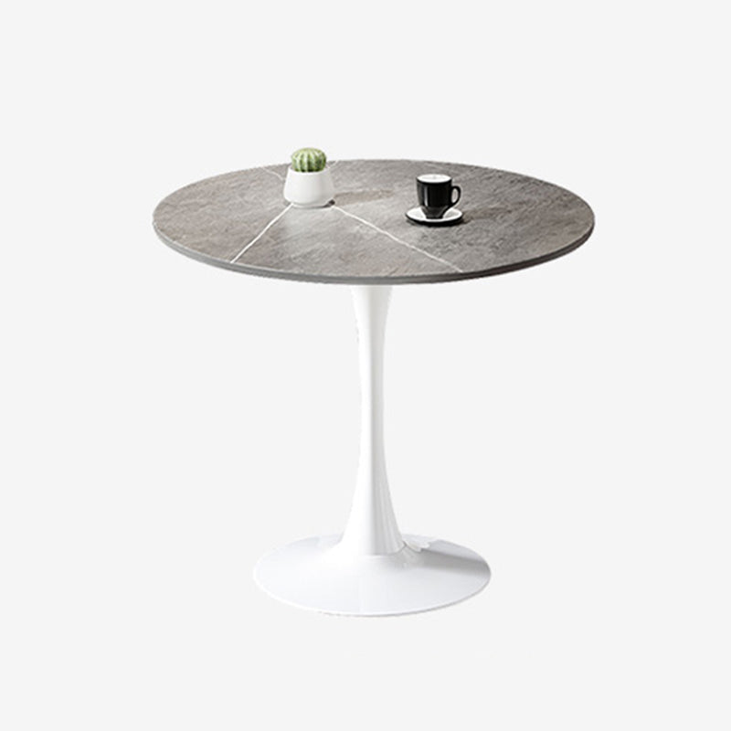 Simple Round Dining Table Sintered Stone Table with Tulip Base for Dining Room Gray White Clearhalo ' dining_table' 'Dining Tables & Seating' 'Dining Tables' 'furn' 'furn_dining_table' 'Furniture' 'furniture_dining_table' 'Kitchen & Dining Furniture' 'kitchen&dining_furn' 'kitchen' 'kitchen_dining_table' 4020809