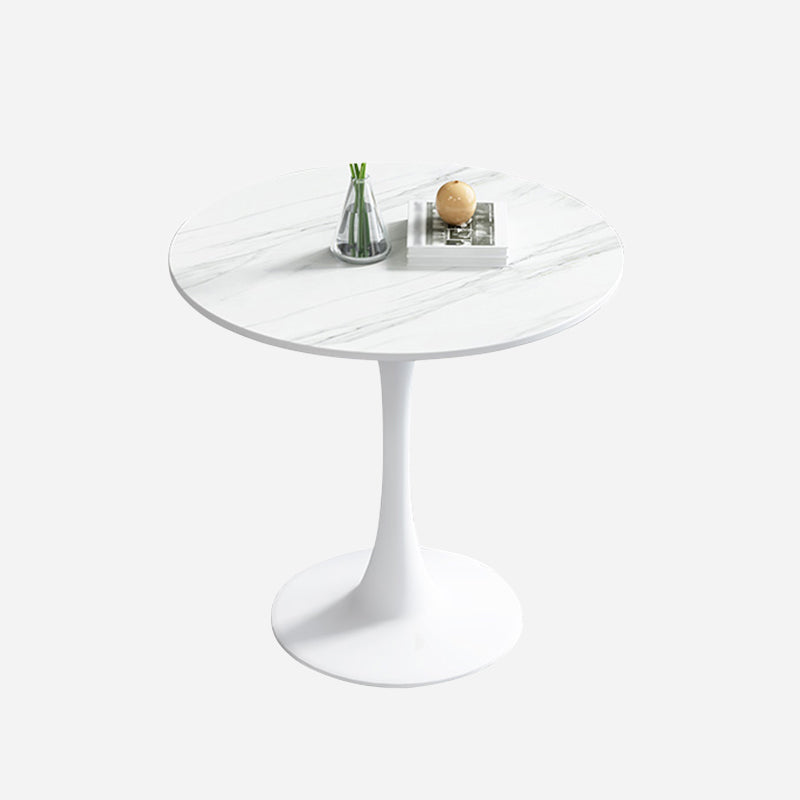 Simple Round Dining Table Sintered Stone Table with Tulip Base for Dining Room White White Clearhalo ' dining_table' 'Dining Tables & Seating' 'Dining Tables' 'furn' 'furn_dining_table' 'Furniture' 'furniture_dining_table' 'Kitchen & Dining Furniture' 'kitchen&dining_furn' 'kitchen' 'kitchen_dining_table' 4020811
