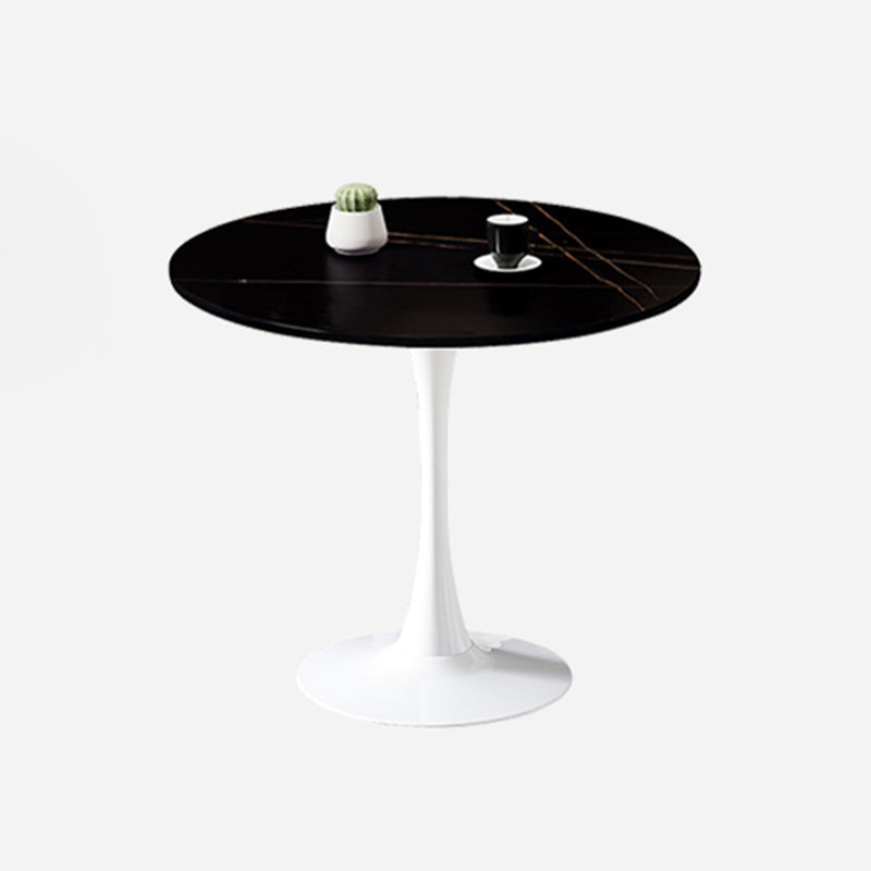 Simple Round Dining Table Sintered Stone Table with Tulip Base for Dining Room Black White Clearhalo ' dining_table' 'Dining Tables & Seating' 'Dining Tables' 'furn' 'furn_dining_table' 'Furniture' 'furniture_dining_table' 'Kitchen & Dining Furniture' 'kitchen&dining_furn' 'kitchen' 'kitchen_dining_table' 4020813