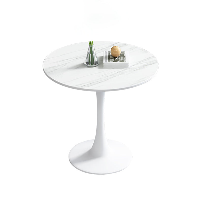 Simple Round Dining Table Sintered Stone Table with Tulip Base for Dining Room Clearhalo ' dining_table' 'Dining Tables & Seating' 'Dining Tables' 'furn' 'furn_dining_table' 'Furniture' 'furniture_dining_table' 'Kitchen & Dining Furniture' 'kitchen&dining_furn' 'kitchen' 'kitchen_dining_table' 4020816